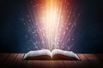 上海一中录取分数线/上海第一中学中考分数线