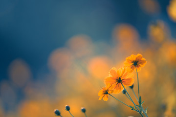 新闻中考录取分数线(中考高考录取分数线)