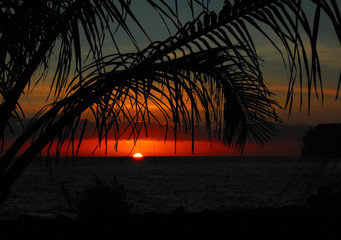 山大艺术生录取分数线/山大艺体生分数线