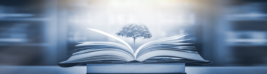 沈阳一高中录取分数线/沈阳高中录取分数线排名