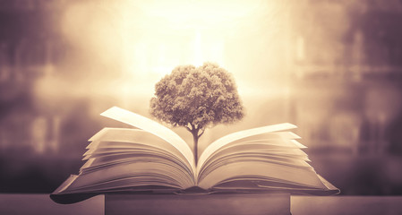 河南农校录取分数线/河南农业2020年录取分数线