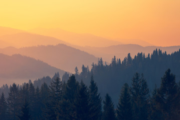 146高中录取分数线(142中学高考成绩)