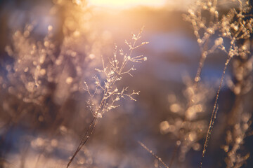 翻译硕士录取分数线/翻译硕士录取分数线是多少