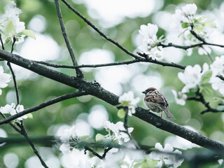广雅2017录取分数线(广雅花都校区录取分数线)