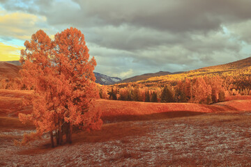 【自贡本月天气,自贡本月天气预报】