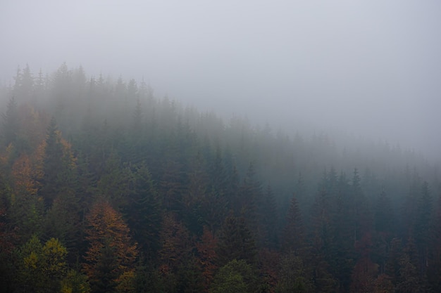 2016年甘肃省三支一扶录取分数线(2016年甘肃三支一扶考试真题及答案解析)