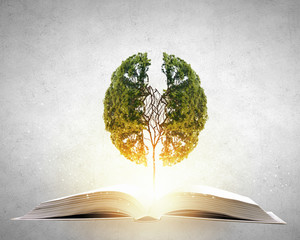 西建录取分数线/西安建筑大学2020录取分数线