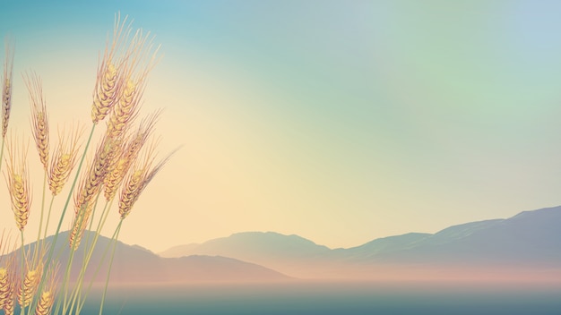 上海一中录取分数线/上海第一中学中考分数线