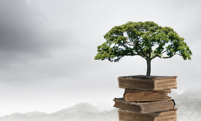 【酒泉职业技术学院2016录取分数线,酒泉职业技术学院学校录取通知书】