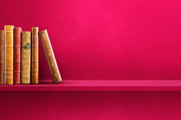 山大艺术生录取分数线/山大艺体生分数线