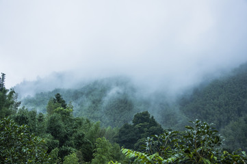 985大学录取分数线2019(985大学录取分数线排名)